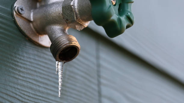 Best 24-Hour Plumber Near Me  in Carrollton, AL